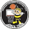 https://img.fangke.cc/img/basketball/team/e416830f4083698237c559f8988ddb25.png